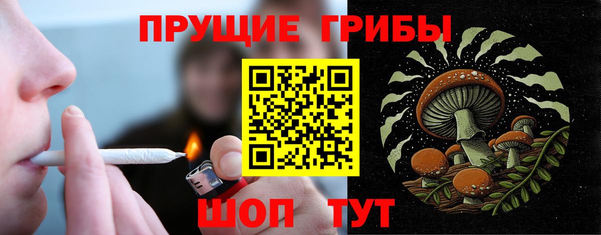 Дубна  Псилоцибиновые грибы Psilocybe  Вход с VPN 