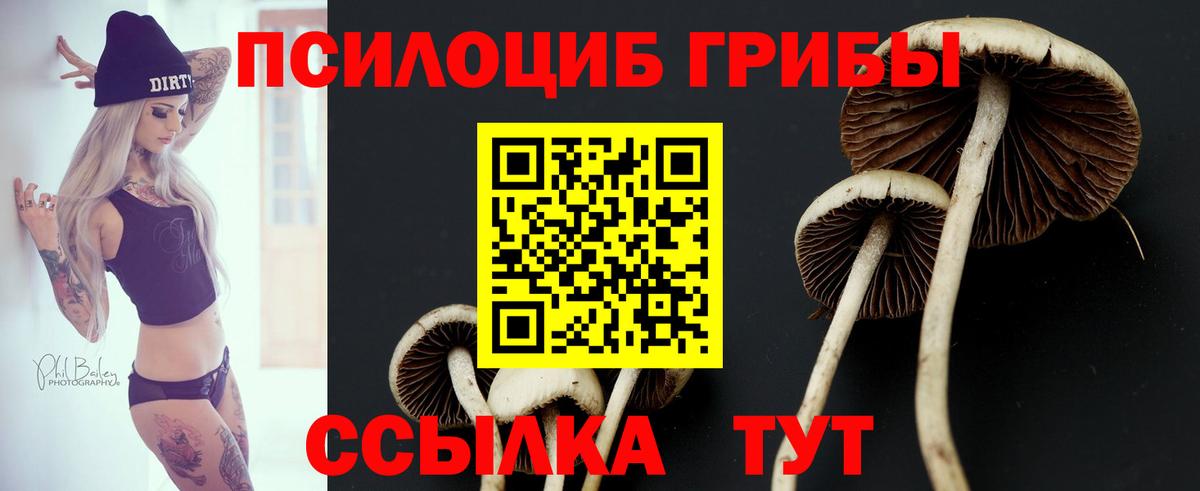 Галлюциногенные грибы ЛСД Дубна